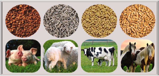 Establishment of the production of mineral feed on the basis of trepel (tripoli mineral) at the “Stalnoye” deposit in Khotimsky district of Mogilev region